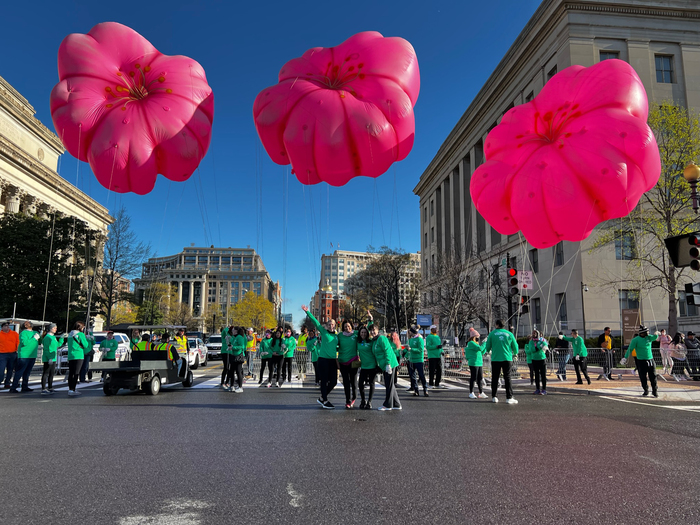 Cherry Blossom Parade 2022
